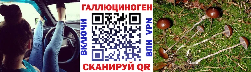 blacksprut ТОР  Кимры  Псилоцибиновые грибы мухоморы 