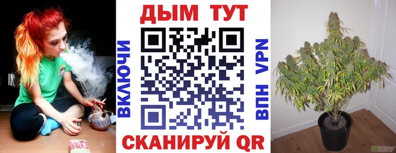 Шишки марихуана конопля  Кимры 
